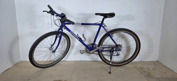 Vélo VTT (le grand bleu)