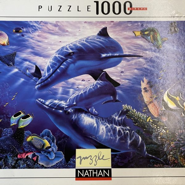 Puzzle adulte 1000 pce