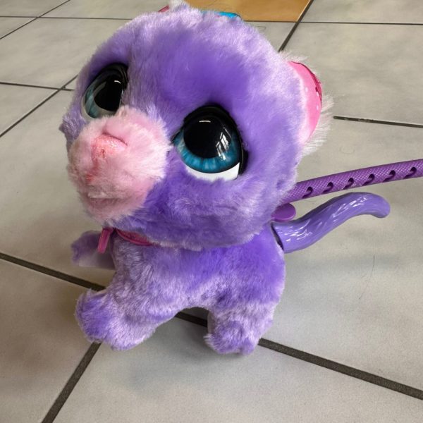 Petit chien avec laisse